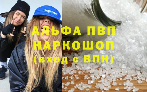 эйфоретик Новозыбков
