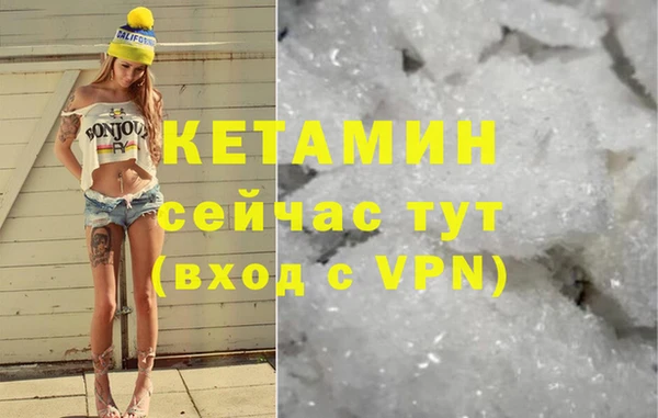 сатива Абаза