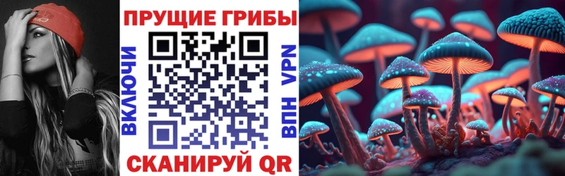 наркошоп  Алагир  Галлюциногенные грибы Cubensis 